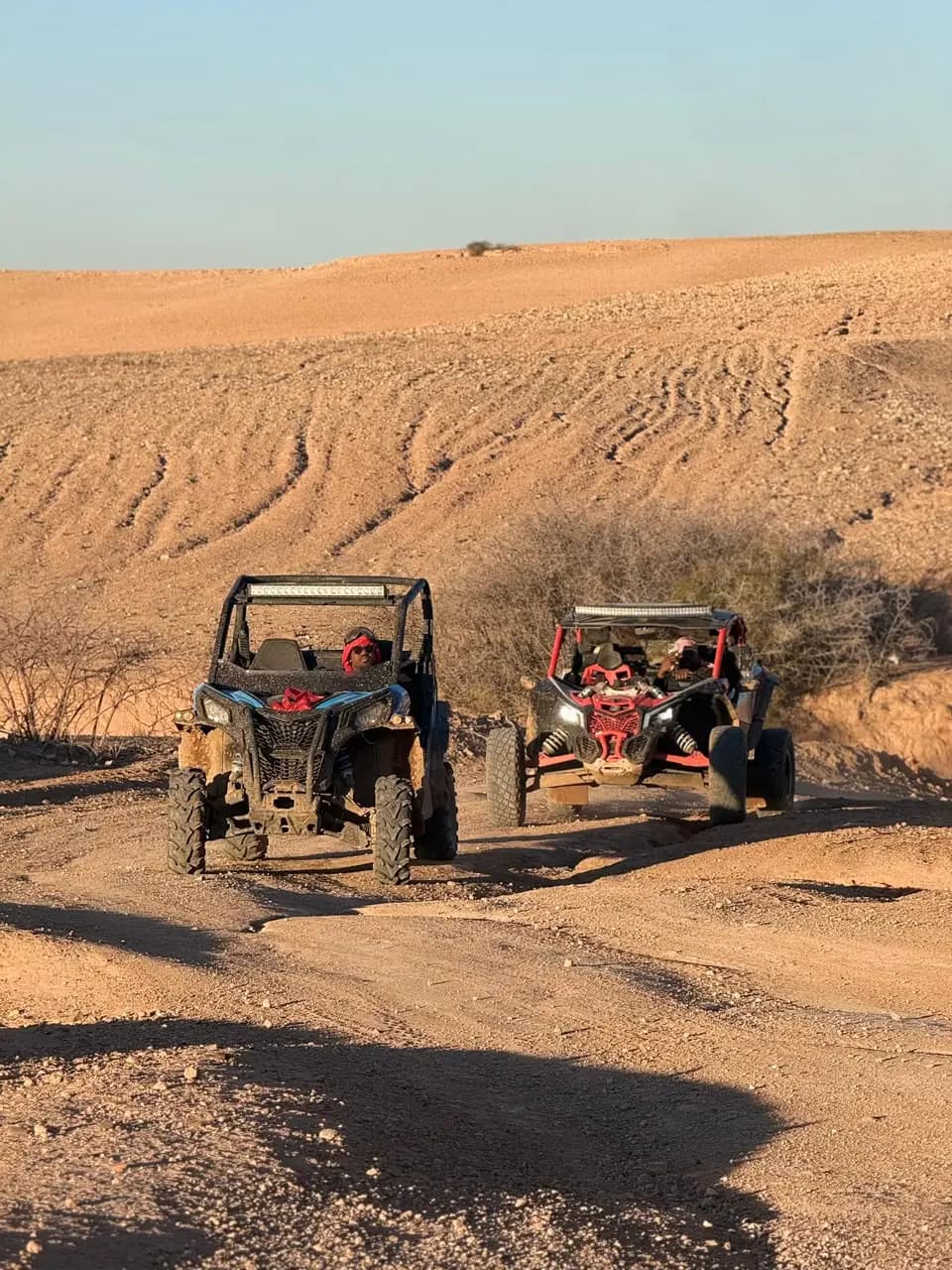 Buggy